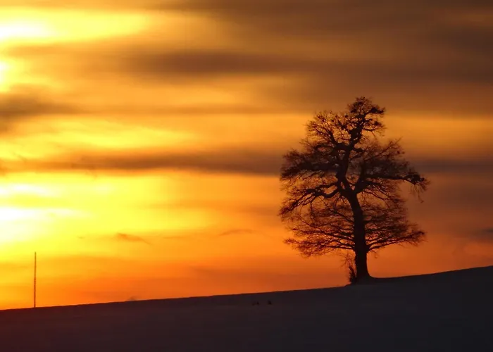 Casa vacanze Gemeinschaftshaus Im Oberdorf *