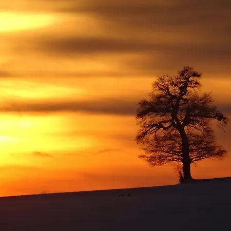 Gemeinschaftshaus Im Oberdorf