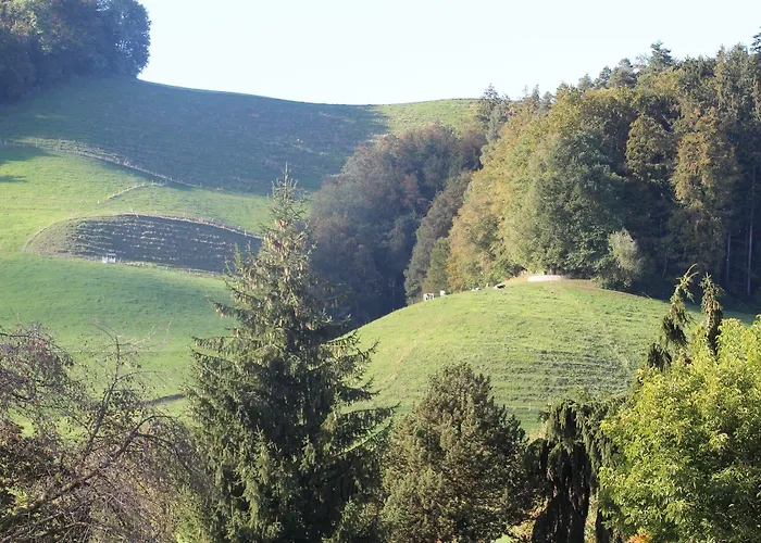 Gemeinschaftshaus Im Oberdorf Lützelflüh